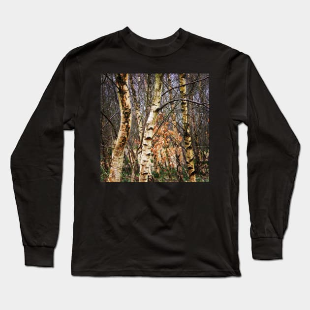 Birch trees Long Sleeve T-Shirt by Jonesyinc